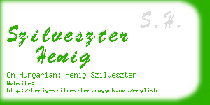 szilveszter henig business card